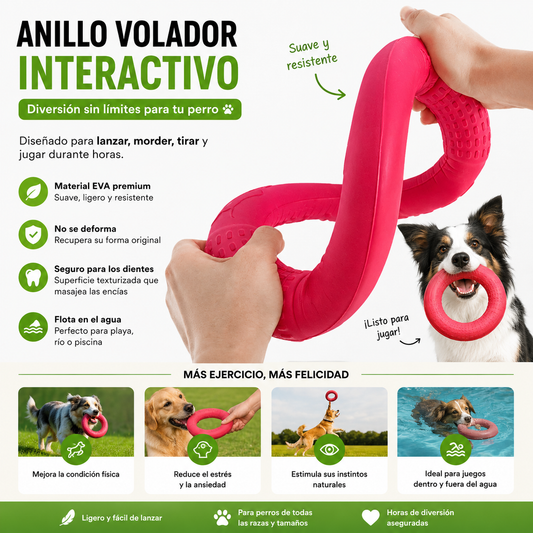 Interactive Flying Ring for Dogs