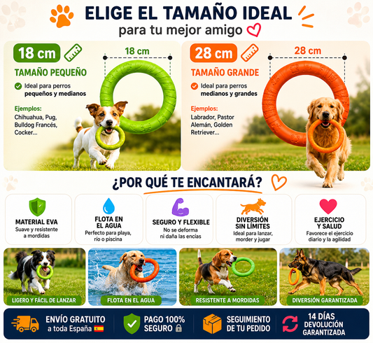 Interactive Flying Ring for Dogs