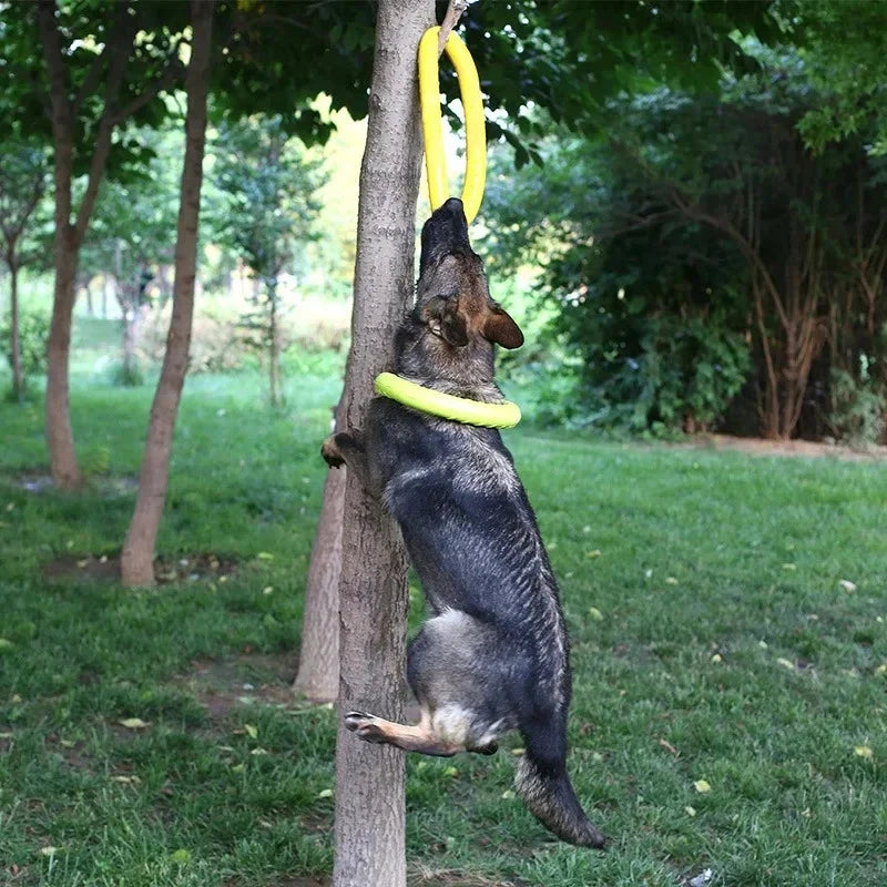 Anillo Volador Interactivo para Perros