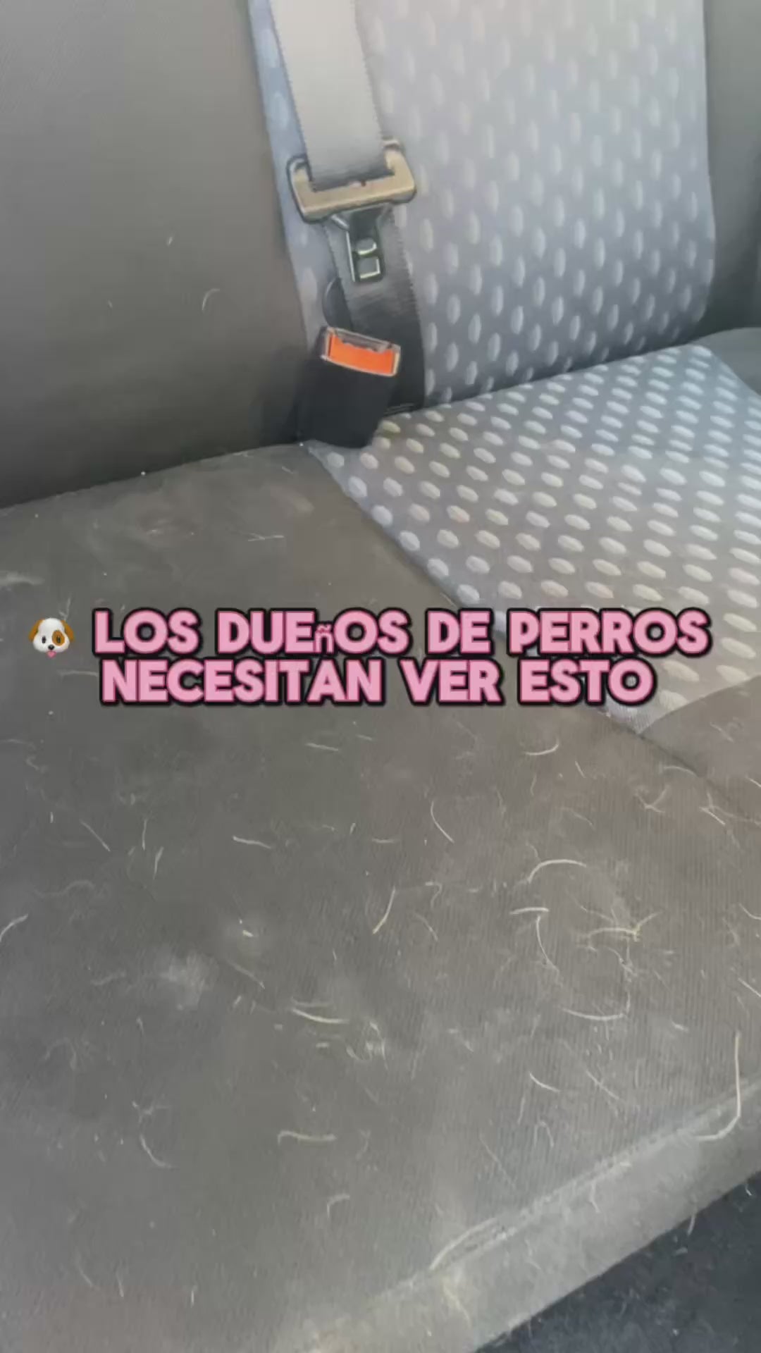 Cepillo Autolimpiable Quitapelos para Mascotas